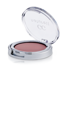 EYE SHADOW 55